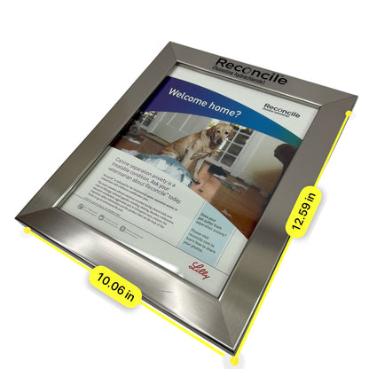 Reconcile (Fluoxetine Hydrochloride) Depression Anxiety Drug Ad Vet Framed
