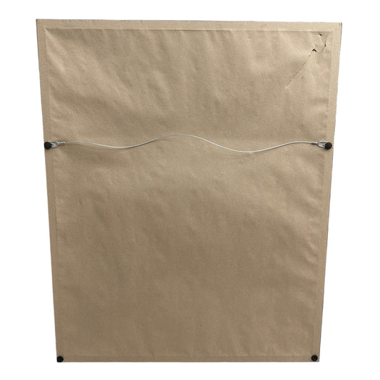 Cirque du Soleil Dralion Signed Limited Edition Print Framed 27x33